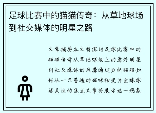 足球比赛中的猫猫传奇：从草地球场到社交媒体的明星之路